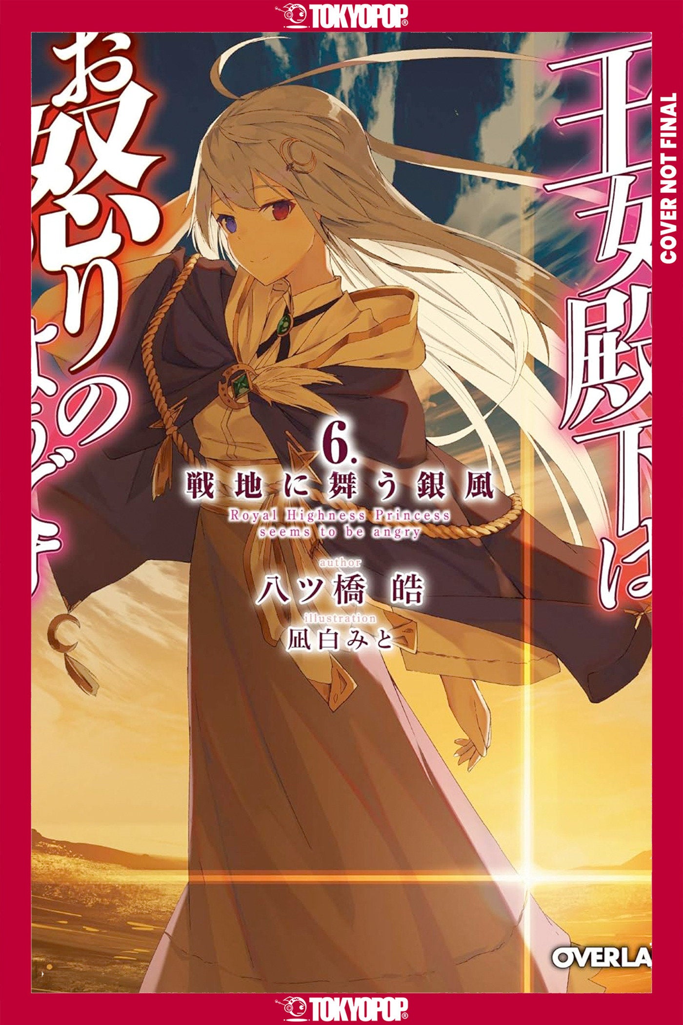 HER ROYAL HIGHNESS SEEMS TO BE ANGRY, VOLUME 6 (LIGHT NOVEL)