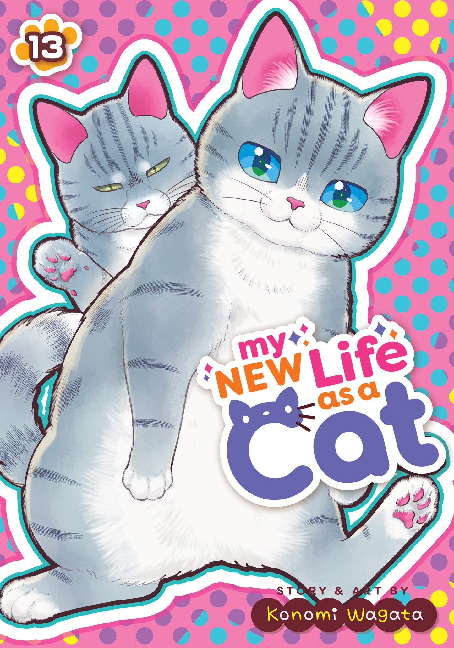 MY NEW LIFE AS A CAT VOL. 13