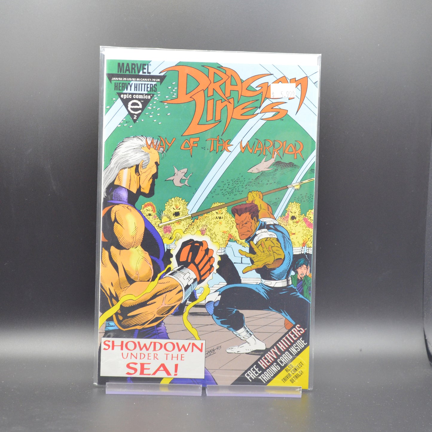 DRAGON LINES: WAY OF THE WARRIOR #2