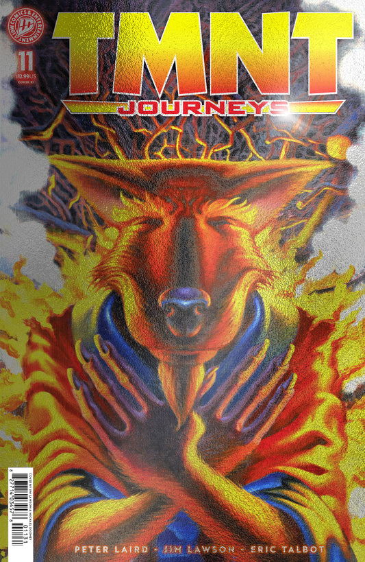 TMNT: JOURNEYS #11 VARIANT RI (10) FOIL (DOONEY & LAWSON)