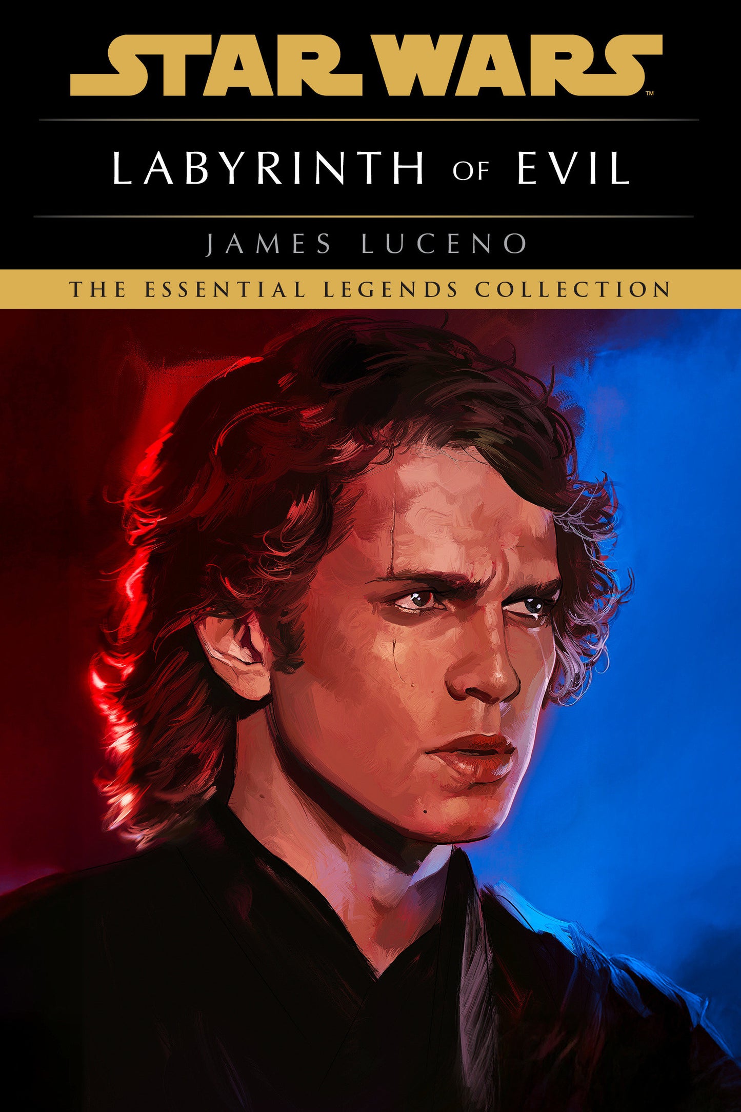 LABYRINTH OF EVIL: STAR WARS LEGENDS