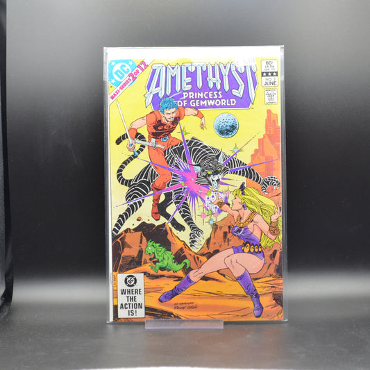 AMETHYST, PRINCESS OF GEMWORLD #2
