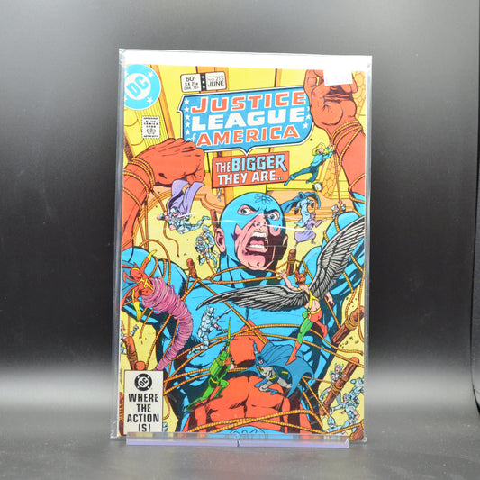 JUSTICE LEAGUE OF AMERICA #215