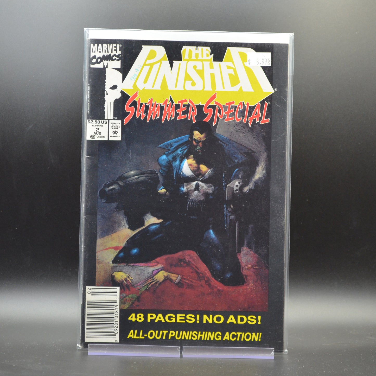 PUNISHER: SUMMER SPECIAL #2
