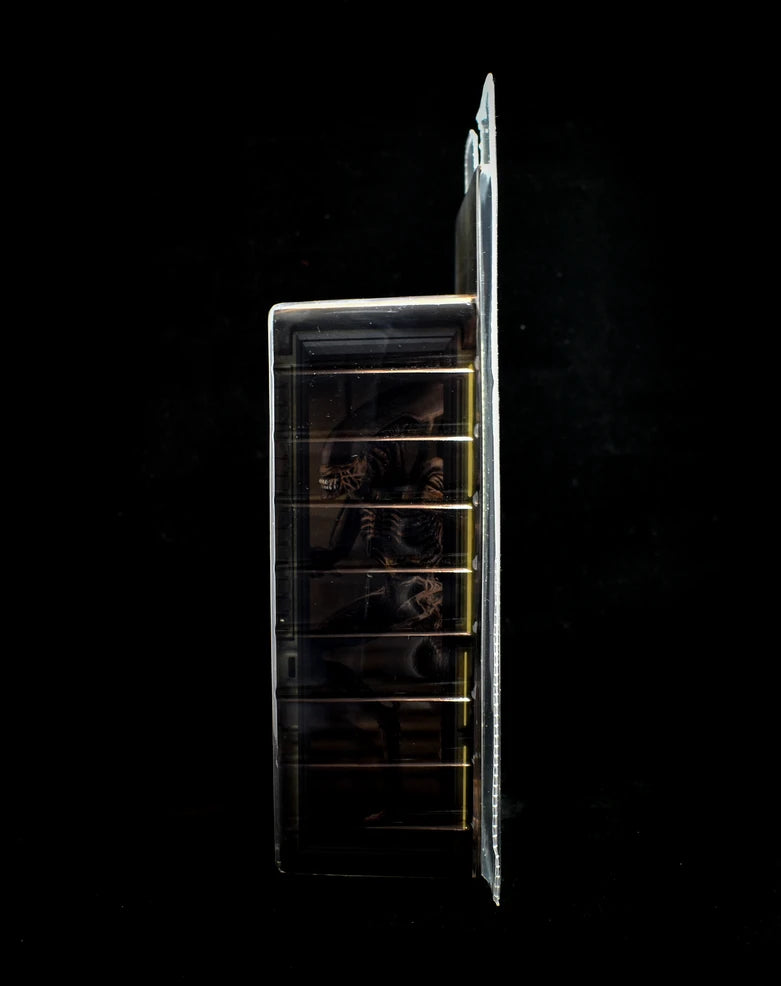 NECA Aliens Alien Resurrection Xenomorph Warrior Action Figure Series 14