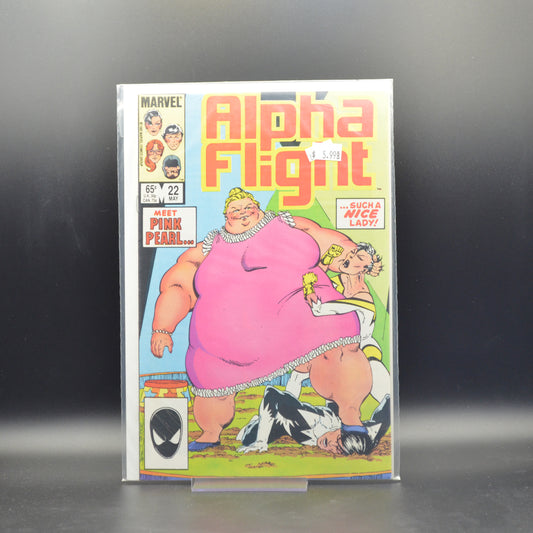 ALPHA FLIGHT #22 - 2 Geeks Comics