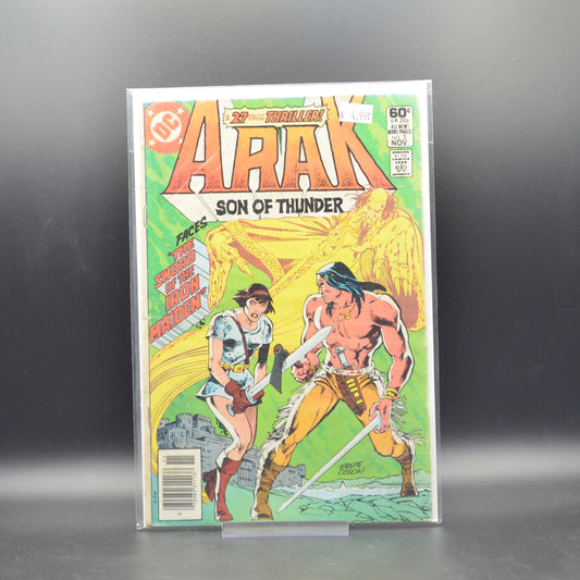 ARAK: SON OF THUNDER #3 - 2 Geeks Comics
