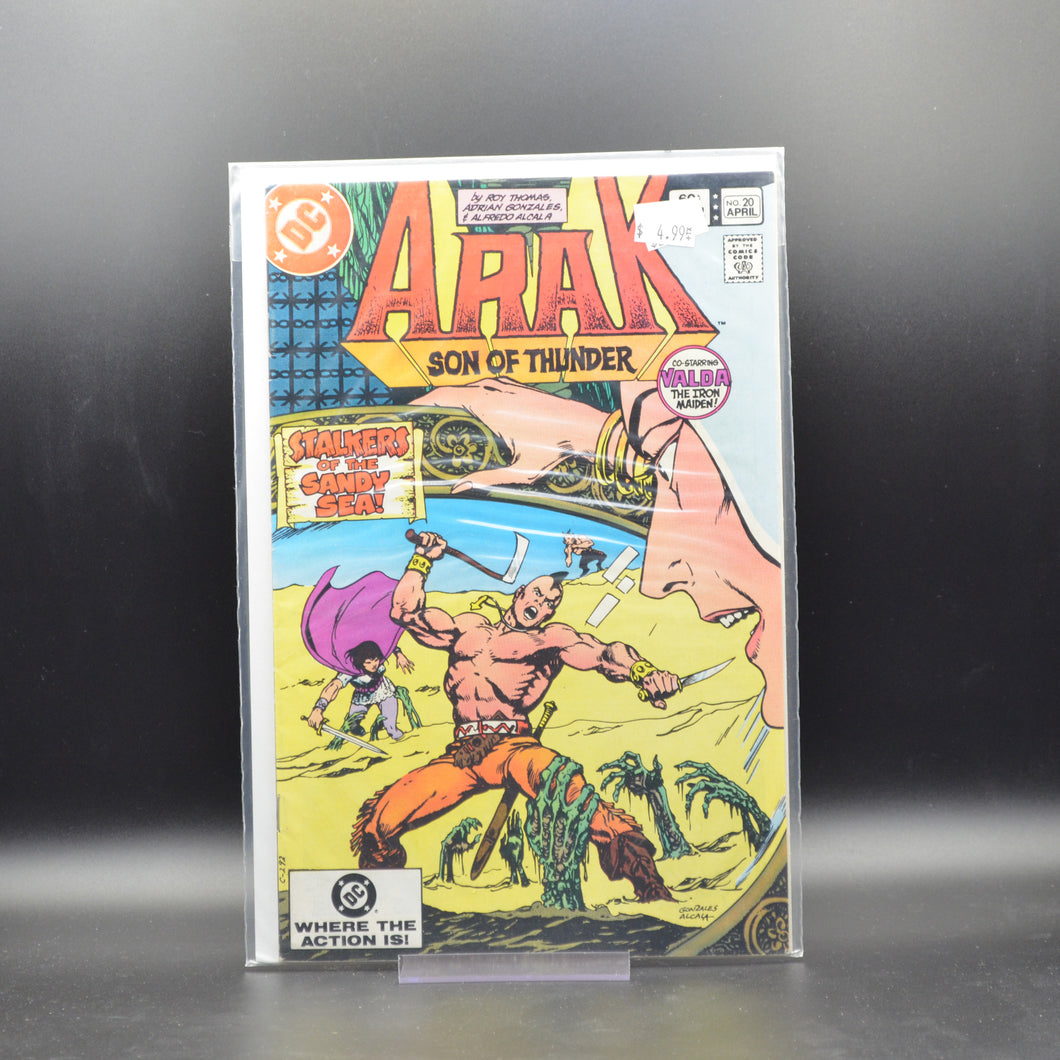 ARAK: SON OF THUNDER #20 - 2 Geeks Comics