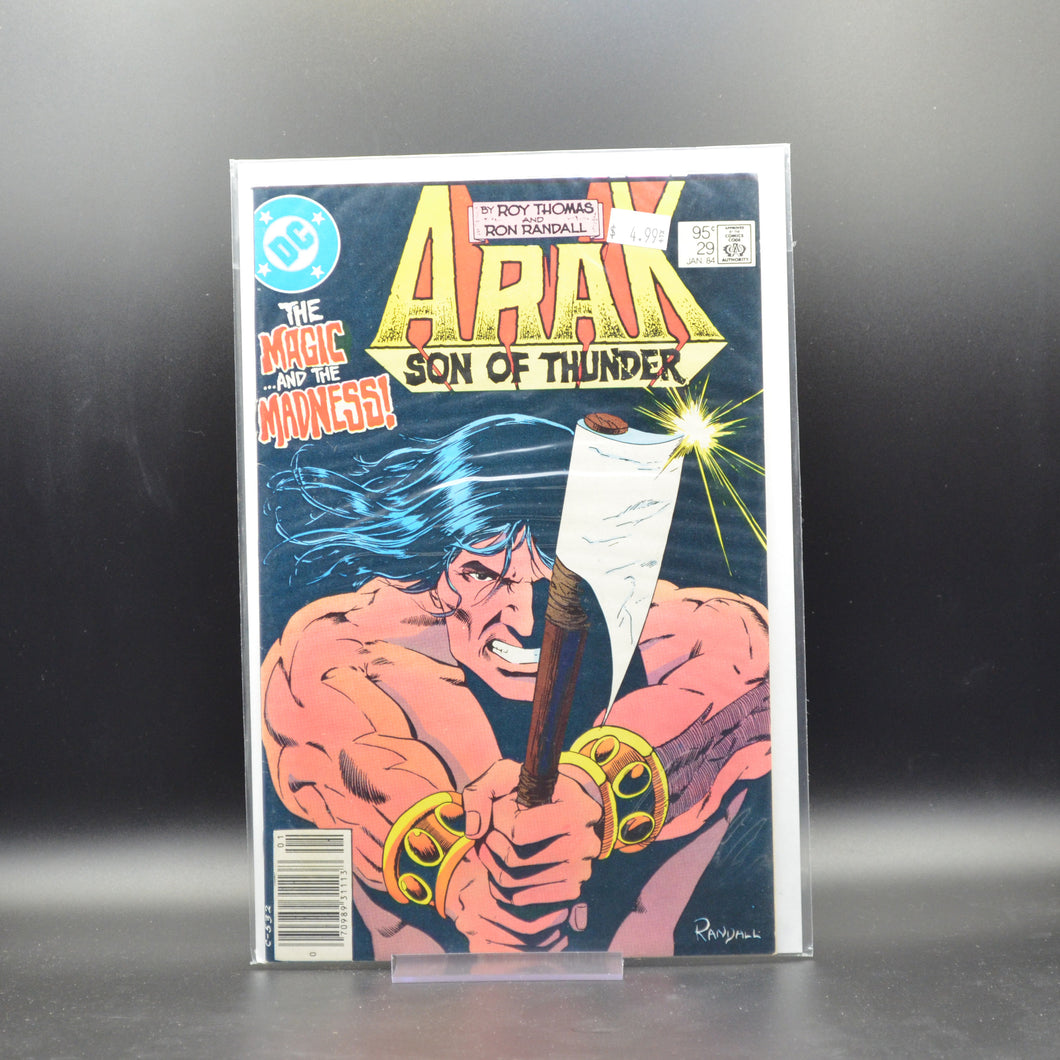 ARAK: SON OF THUNDER #29 - 2 Geeks Comics
