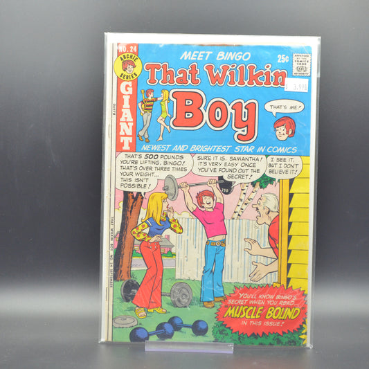 THAT WILKIN BOY #24 - 2 Geeks Comics