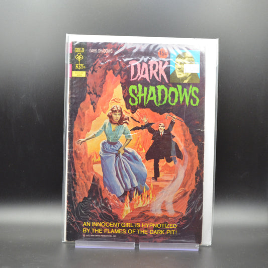 DARK SHADOWS #13 - 2 Geeks Comics