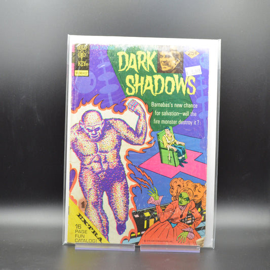 DARK SHADOWS #29 - 2 Geeks Comics