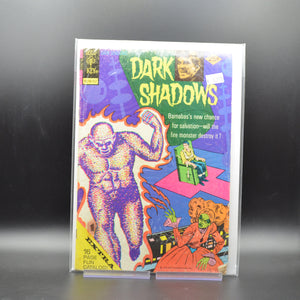 DARK SHADOWS #29 - 2 Geeks Comics