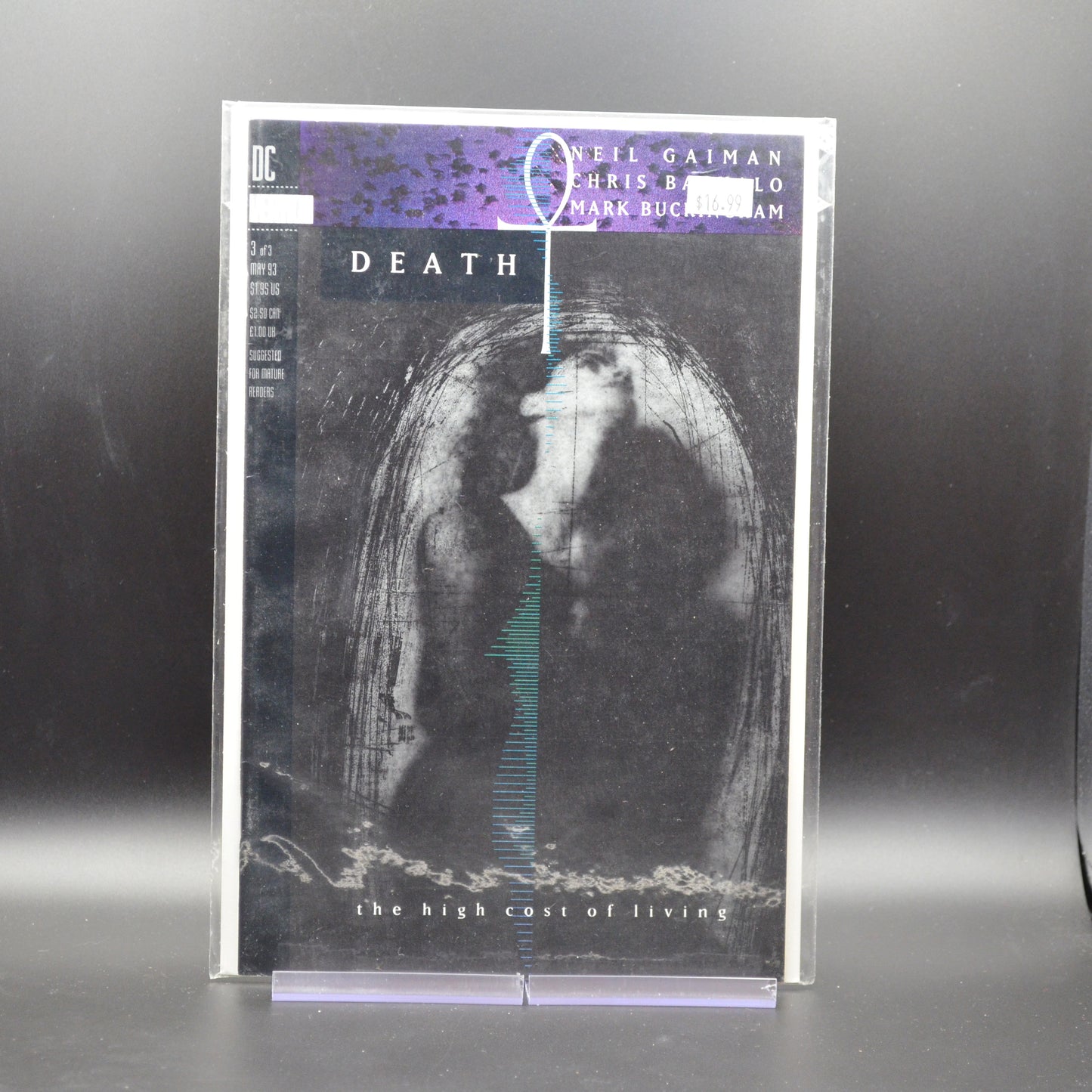 DEATH: THE HIGH COST OF LIVING #3 - 2 Geeks Comics