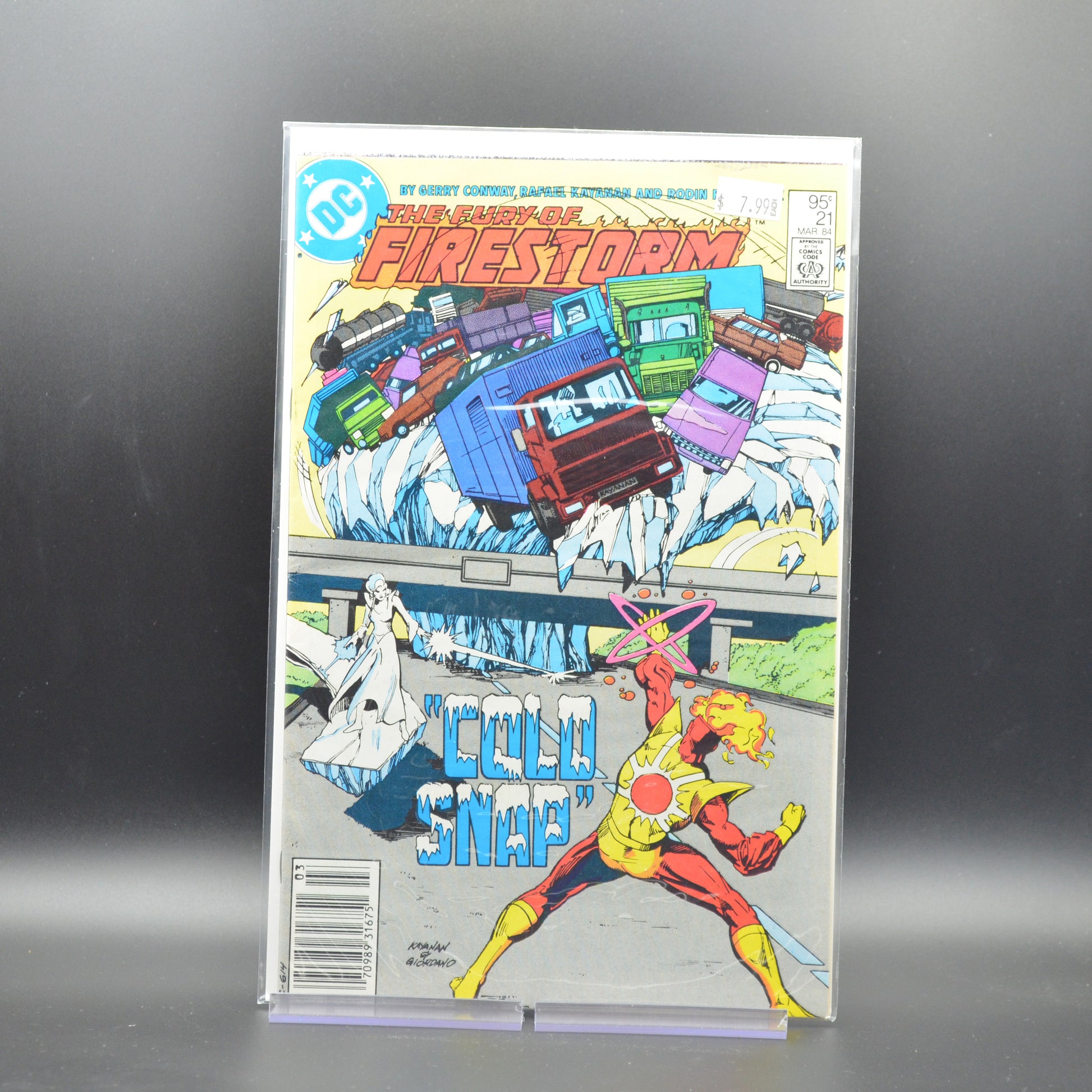 FURY OF FIRESTORM #21 - 2 Geeks Comics