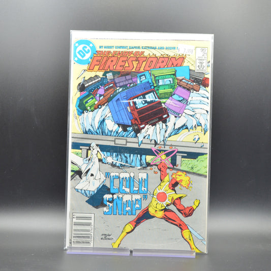 FURY OF FIRESTORM #21 - 2 Geeks Comics