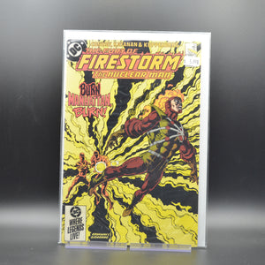 FURY OF FIRESTORM #33 - 2 Geeks Comics