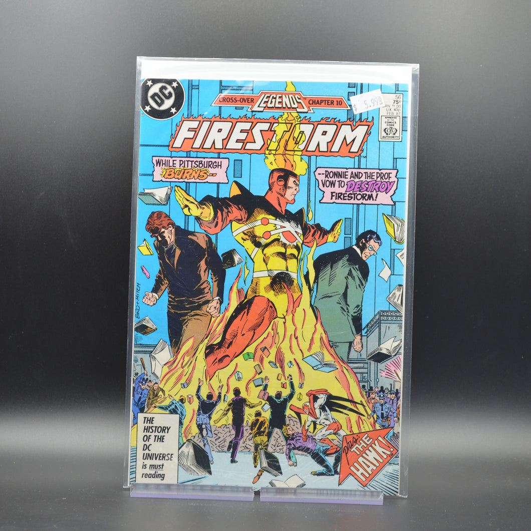 FURY OF FIRESTORM #56 - 2 Geeks Comics
