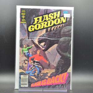FLASH GORDON #19 - 2 Geeks Comics