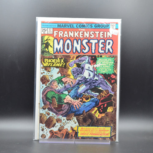 FRANKENSTEIN MONSTER #17 - 2 Geeks Comics