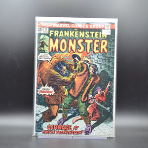 FRANKENSTEIN MONSTER #11 - 2 Geeks Comics