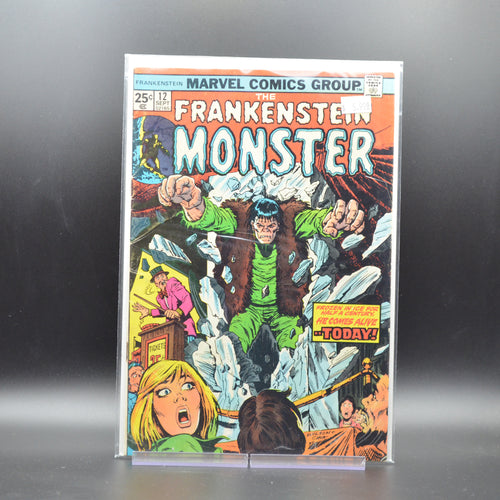 FRANKENSTEIN MONSTER #12 - 2 Geeks Comics