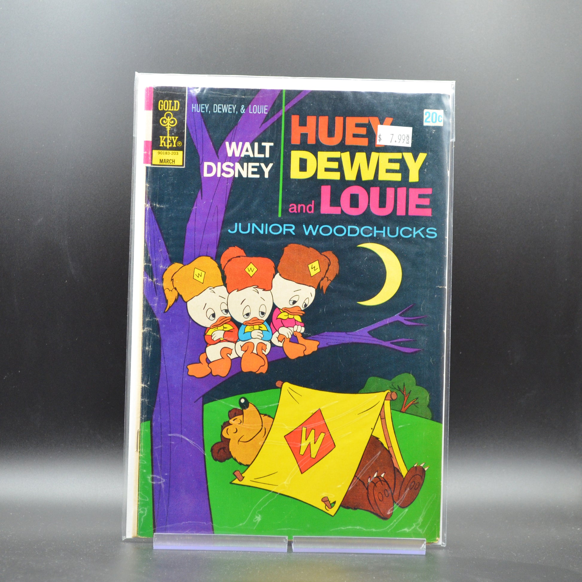 HUEY, DEWEY & LOUIE: JUNIOR WOODCHUCKS #13 - 2 Geeks Comics