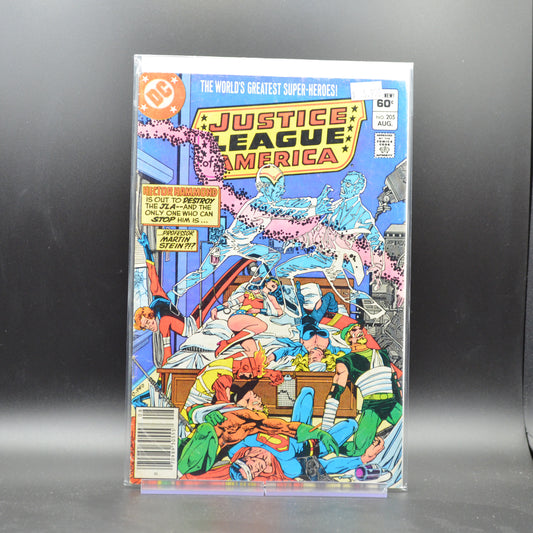 JUSTICE LEAGUE OF AMERICA #205 - 2 Geeks Comics
