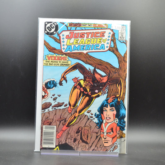 JUSTICE LEAGUE OF AMERICA #234 - 2 Geeks Comics