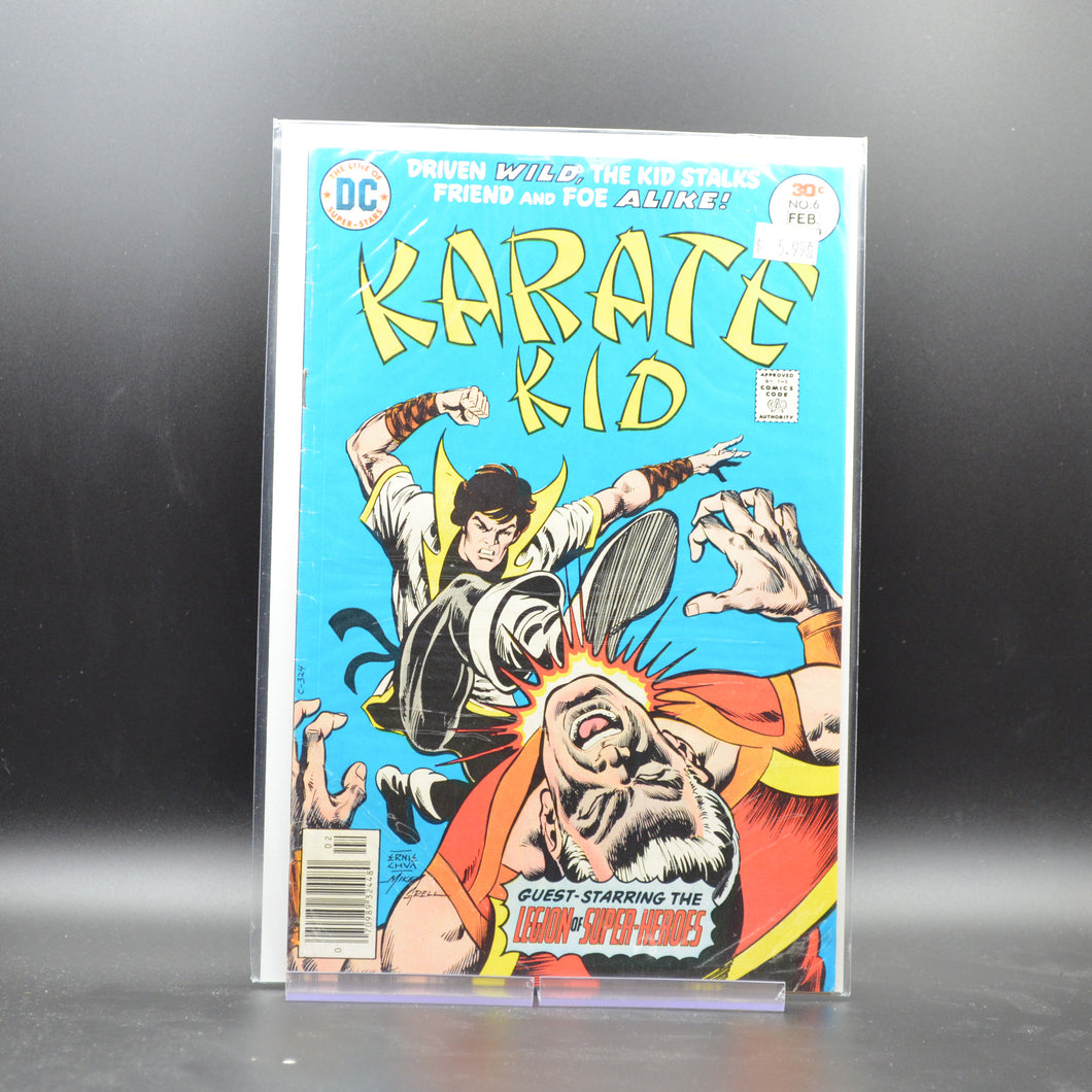 KARATE KID #6 - 2 Geeks Comics