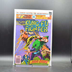 RICHARD DRAGON, KUNG FU FIGHTER #10 - 2 Geeks Comics