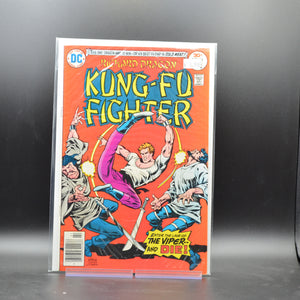 RICHARD DRAGON, KUNG FU FIGHTER #13 - 2 Geeks Comics