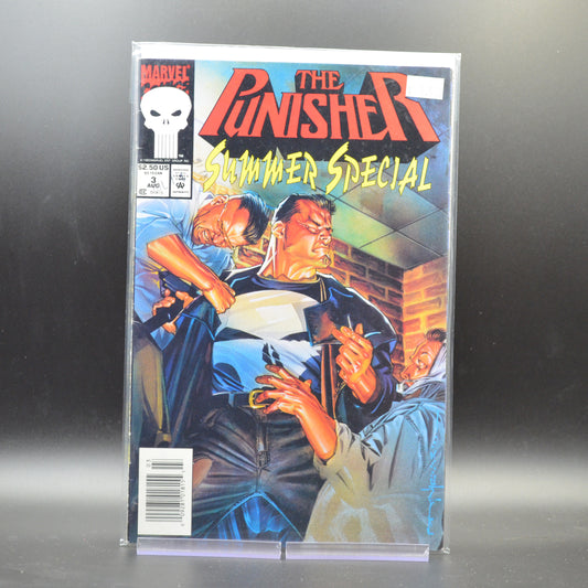 PUNISHER: SUMMER SPECIAL #3 - 2 Geeks Comics