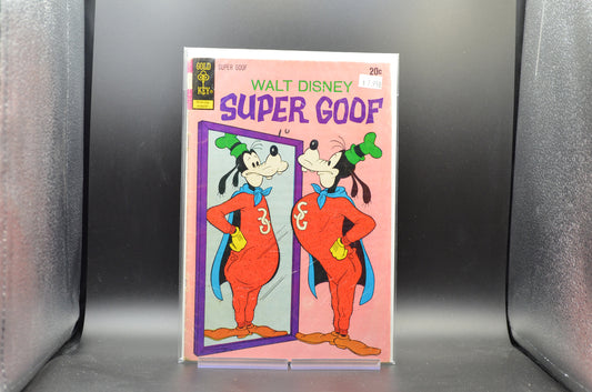 SUPER GOOF #22 - 2 Geeks Comics