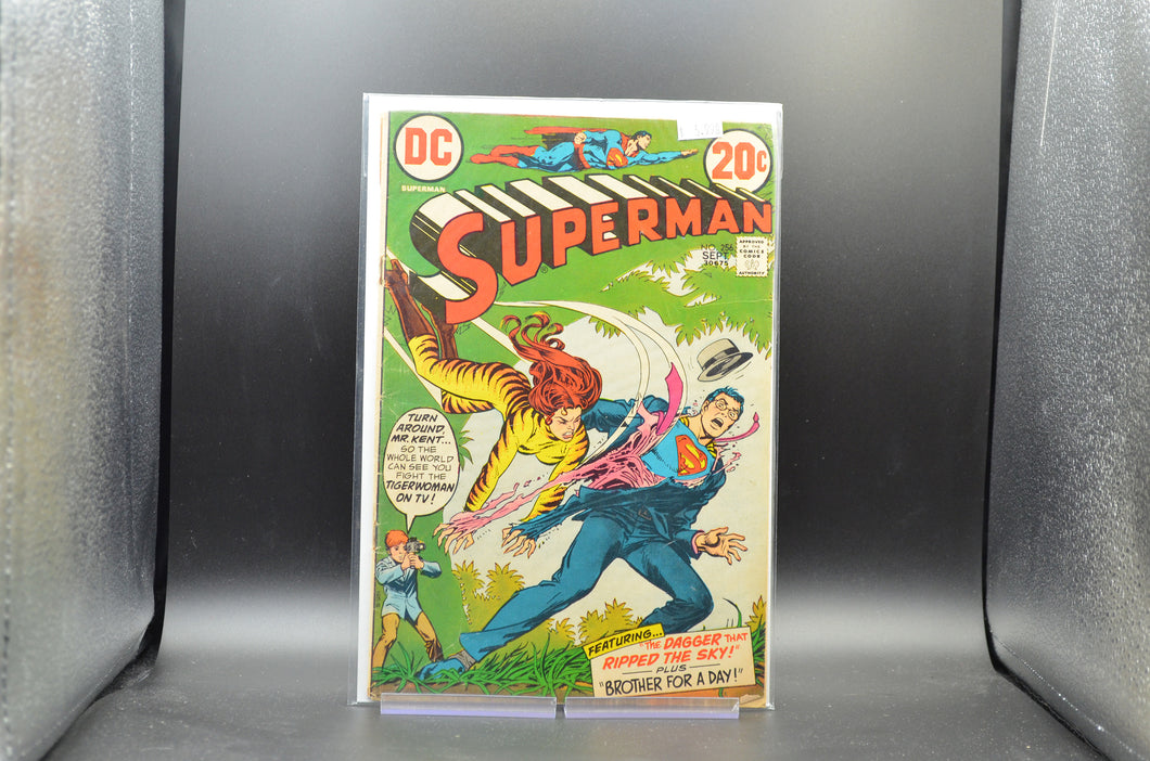 SUPERMAN #256 - 2 Geeks Comics