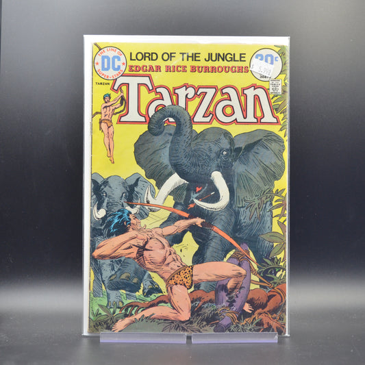 TARZAN #229 - 2 Geeks Comics