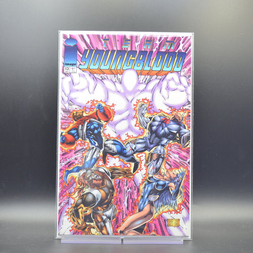 TEAM YOUNGBLOOD #13 - 2 Geeks Comics