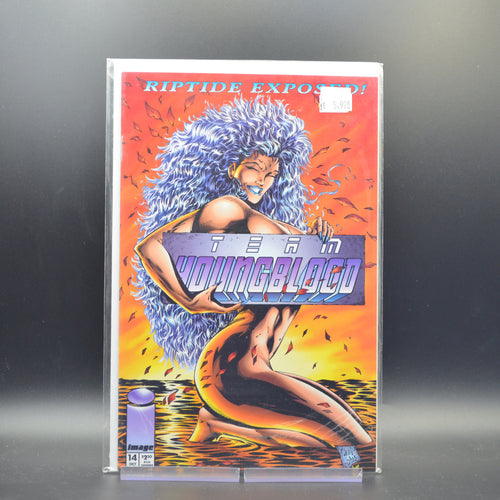 TEAM YOUNGBLOOD #14 - 2 Geeks Comics