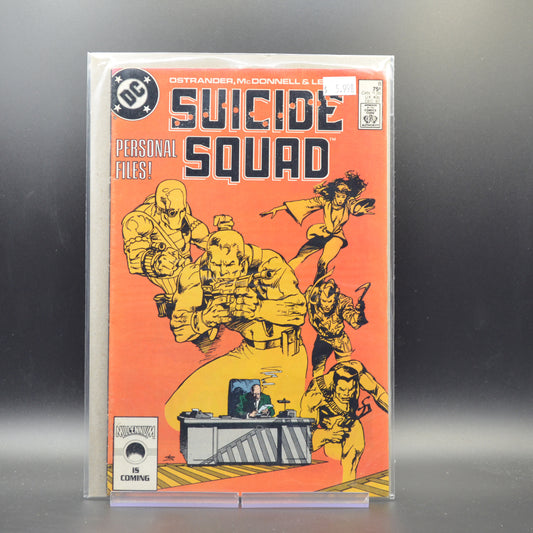 SUICIDE SQUAD #8 - 2 Geeks Comics