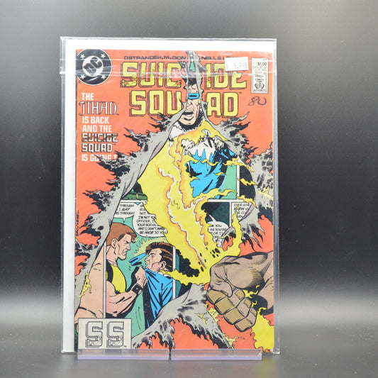 SUICIDE SQUAD #17 - 2 Geeks Comics