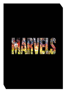 MARVELS PLATINUM EDITION SLIPCASE HC - 2 Geeks Comics
